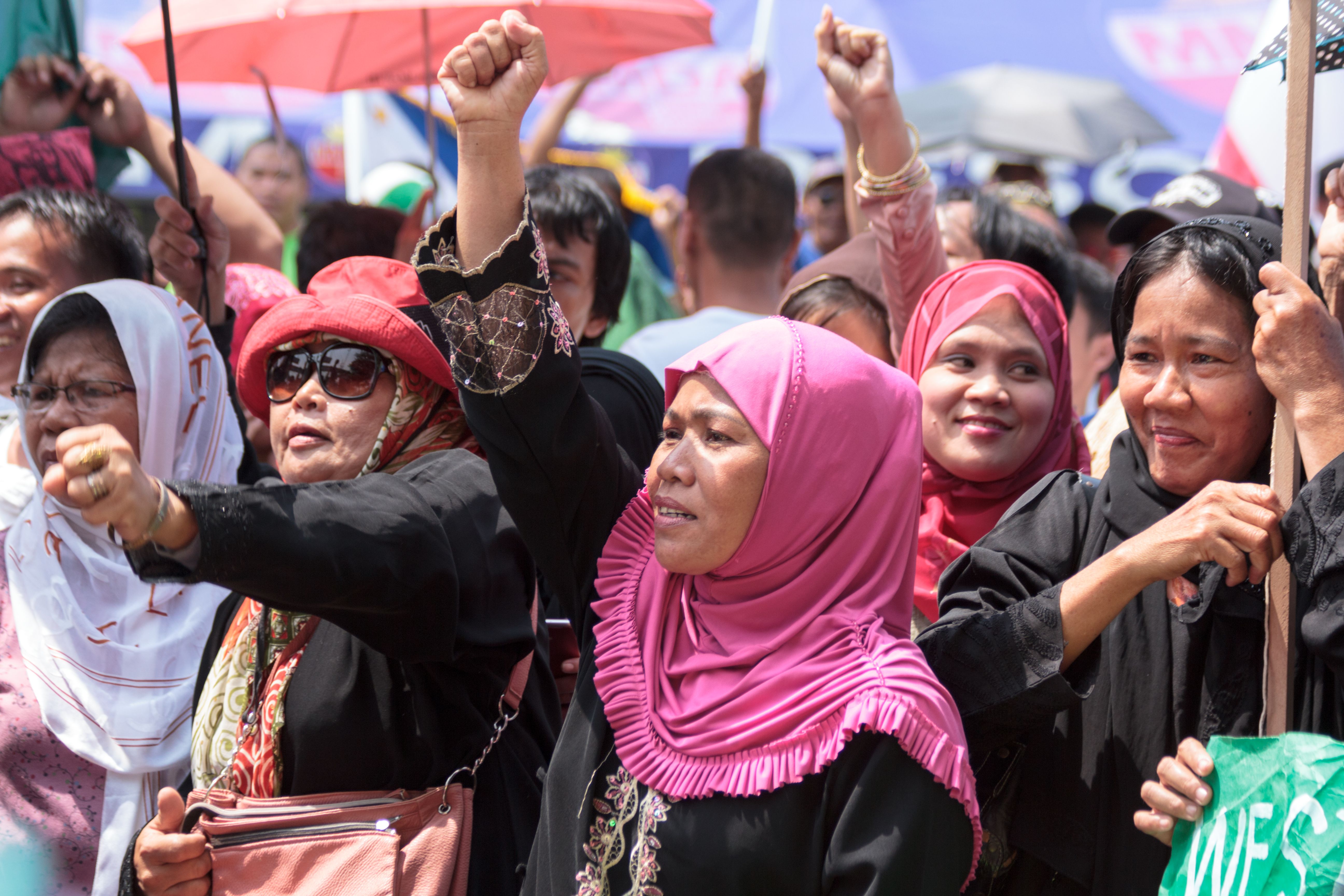 Having an opposition and learning about parliamentary dynamics image